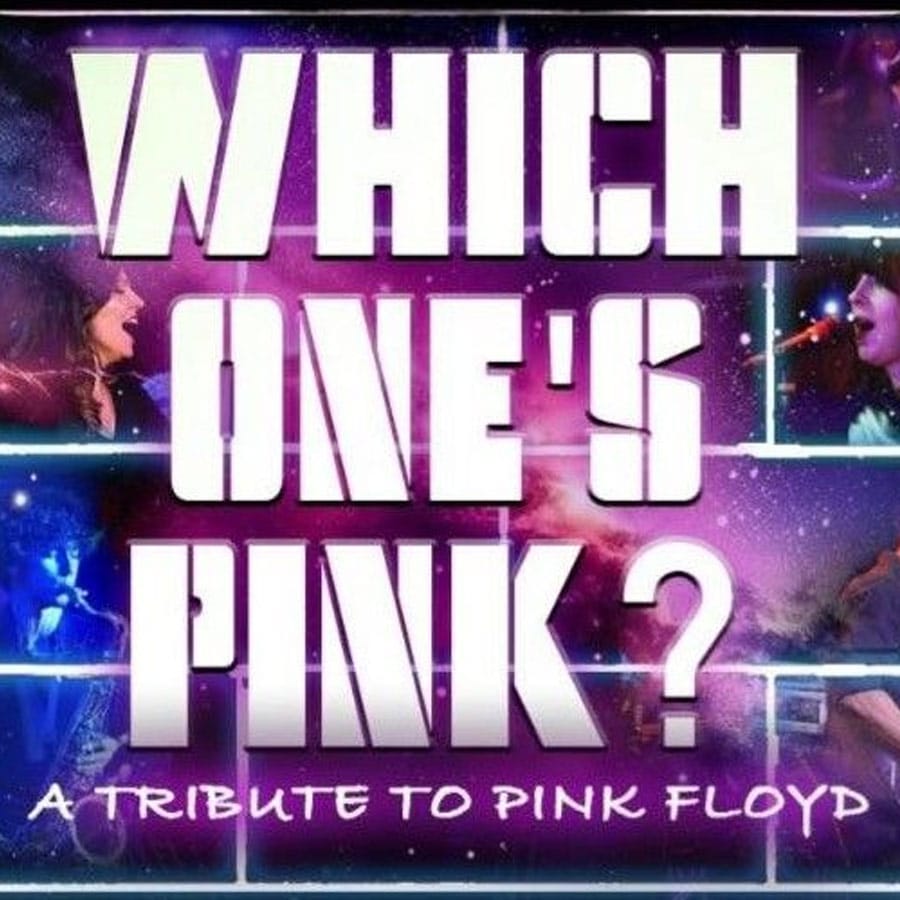 Which ones pink